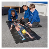 TT - Bee-Bot Podložká Lidské tělo