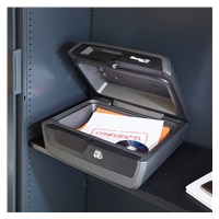 MasterLock LCFW30100 bezpečnostní kufr odolný ohni a vodě, na klíč, ocel, šedá