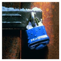 Master Lock Visací zámek odolný povětrnostním vlivům  312EURD - 40mm