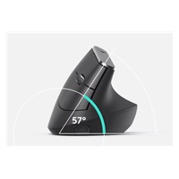 Logitech Wireless Mouse MX Vertical, graphite