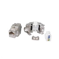 Keystone Cat6A, STP, samozařezávací se zaklapnutím, stříbrný
