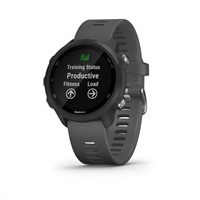 Garmin GPS sportovní hodinky Forerunner 245 Optic Slate