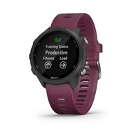 Garmin GPS sportovní hodinky Forerunner 245 Optic Red