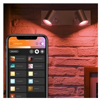 PHILIPS Argenta bodové  svítidlo, Hue White and Color ambiance, 240V, 2x5.7W GU10, Aluminium