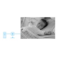 TP-Link Tapo C100