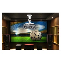 Reflecta SUPVEX  22cm stropní držák dataprojektoru