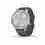 Garmin monitorovací náramek a hodinky vivomove3 Style, Silver/Green Band
