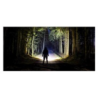 Ledlenser P6R Core QC ruční svítilna