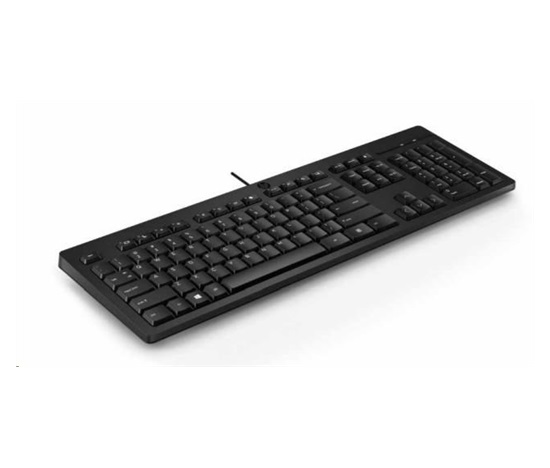 HP 125 Wired Keyboard - Slovenská