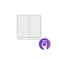 Tesla Smart Switch Dual