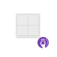 Tesla Smart Switch Quatro Battery