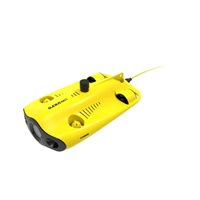 Chasing Gladius Mini S 100m