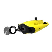 Chasing Gladius Mini S 100m