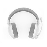 Lenovo Legion H600 Wireless Gaming Headset(Stingray)
