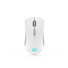 Lenovo Legion M600 Wireless Gaming Mouse (Stingray)