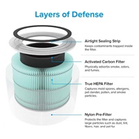 Levoit filtr anitalergenní pro Core300S a Core300