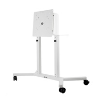 Profesionální stojan na Na televize a monitory 43“ až 65“ TRF100