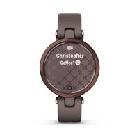 Garmin hodinky Lily Classic Dark Bronze/Paloma Leather Band