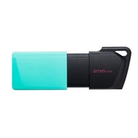 Kingston Flash Disk 256GB USB3.2 Gen 1 DataTraveler Exodia M (Black + Teal)