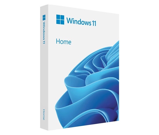 Windows Home 11 64-bit Slovak USB