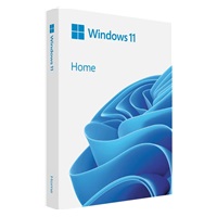 Windows Home 11 64-bit Czech USB
