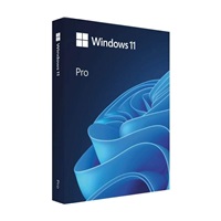 Windows Pro 11 64-bit Eng USB