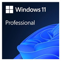 Windows Pro 11 64-BIT ESD