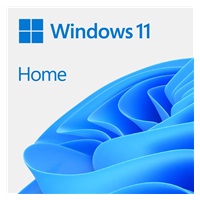 Windows Home 11 64-BIT ESD