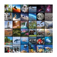 TT - Bee-Bot podložka Příběh