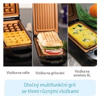 Livington Flip Switch multifunkční gril