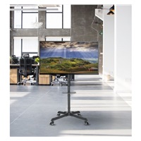 Reflecta TV STAND 55P Shelf televizní stolek