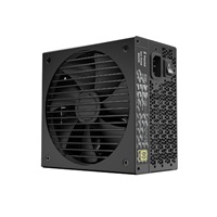 FRACTAL DESIGN zdroj Ion 850W GOLD, modular, 80+ Gold