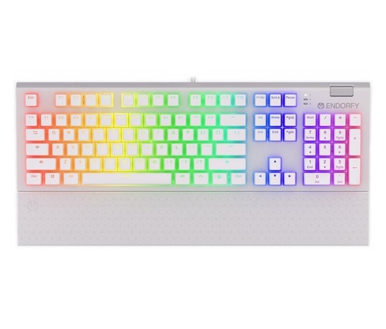 Endorfy herní klávesnice Omnis OWH Pudd.Kaihl BL RGB / USB / blue switch / drátová /mechanická/US layout/bílá RGB