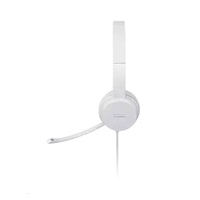 LENOVO 110 Stereo USB Headset