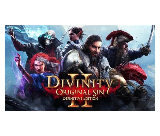 Divinity: Original Sin (PC) DIGITAL