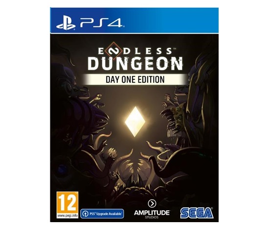 PS4 hra Endless Dungeon Day One Edition