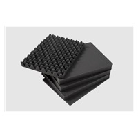 BW Outdoor Cases Type 4000 BLK SI (pre-cut foam)