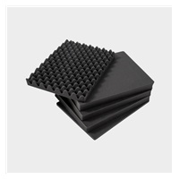 BW Outdoor Cases Type 5000 BLK SI (pre-cut foam)