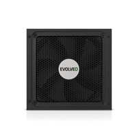 EVOLVEO G1000 zdroj 1000W, 80+ GOLD, ATX 3.1, aPFC, 140 mm ventilátor, záruka 3 roky, černý