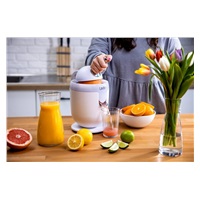 Lauben Electric Citrus Juicer 110WT - odšťavňovač