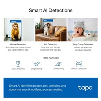 TP-Link Tapo C220