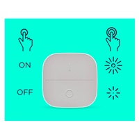 PHILIPS WiZ Portable Button šedé/bílé - spínač