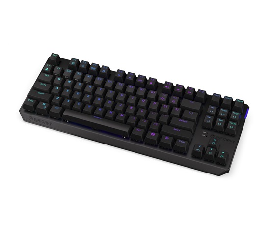 Endorfy herní klávesnice Thock TKL Wireless Black/ bezdrátová / USB / black switch / mechanická / US layout / černá RGB