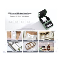 Niimbot Tiskárna štítků B21S Smart, zelená + role štítků 210ks