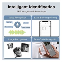 Niimbot Tiskárna štítků B21S Smart, zelená + role štítků 210ks