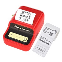 Niimbot Tiskárna štítků B21S Smart, červená + role štítků 210ks