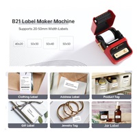 Niimbot Tiskárna štítků B21S Smart, červená + role štítků 210ks