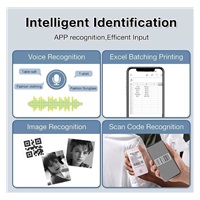 Niimbot Tiskárna štítků B21S Smart, červená + role štítků 210ks