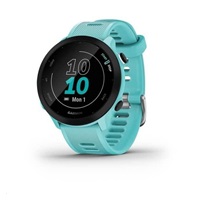 Garmin GPS sportovní hodinky Forerunner 55 Blue, EU
