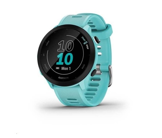 Garmin GPS sportovní hodinky Forerunner 55 Blue, EU
